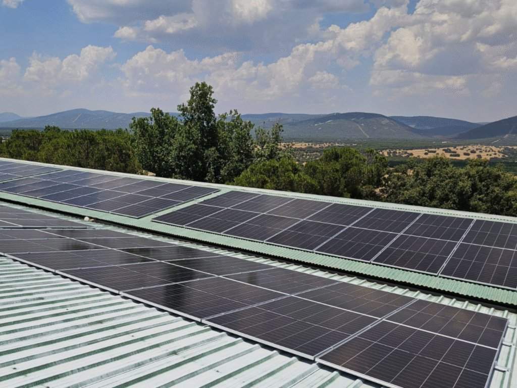A farm in Ciudad Real, Spain, cuts electricity bills by up to 80% with solar panels and a 257 kWh battery energy storage system (BESS)
