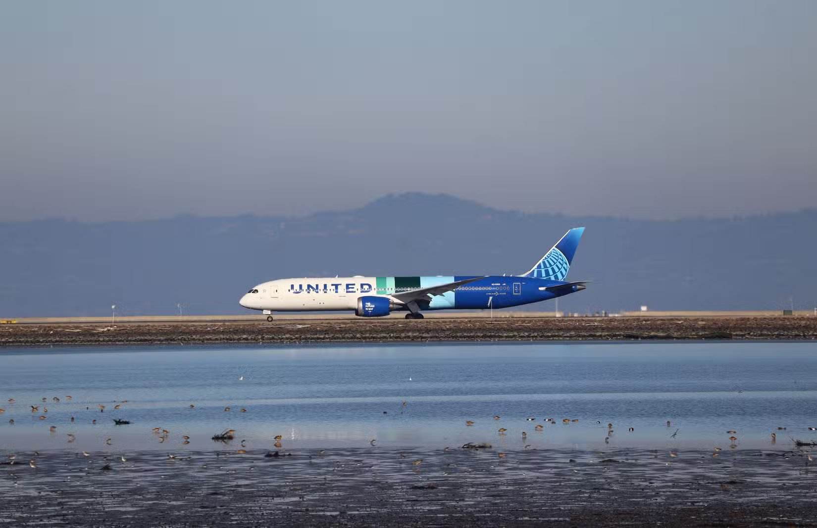 Livrée spéciale d'un United 787
