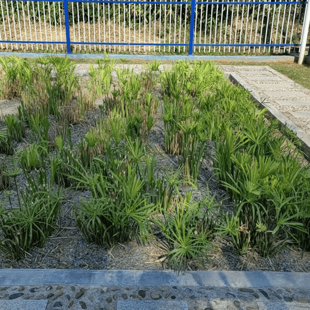 人工湿地品质与性价比解析 - 河南宇泰环保材料有限公司