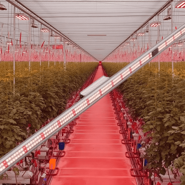 L2 全光谱 植物生长灯 - 广东正发科技有限公司