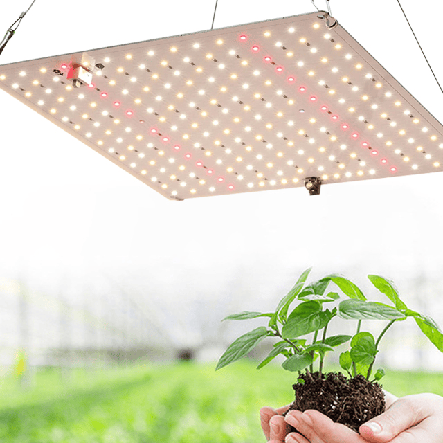 全光谱 植物生长灯 - 广东正发科技有限公司