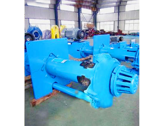 Vertikale Schlammpumpe (NZJV) - Naipu Mining Machinery Co., Ltd.
