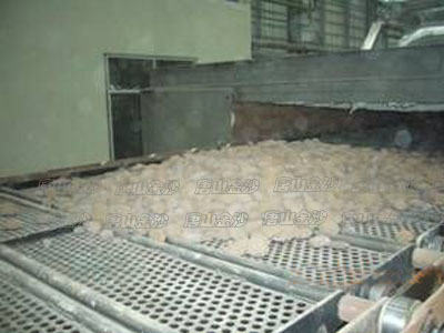 Séchoir à clapets - Tangshan Jinsha Combustion Heat Energy Co., Ltd.