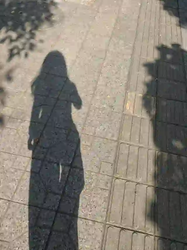 daydreamer