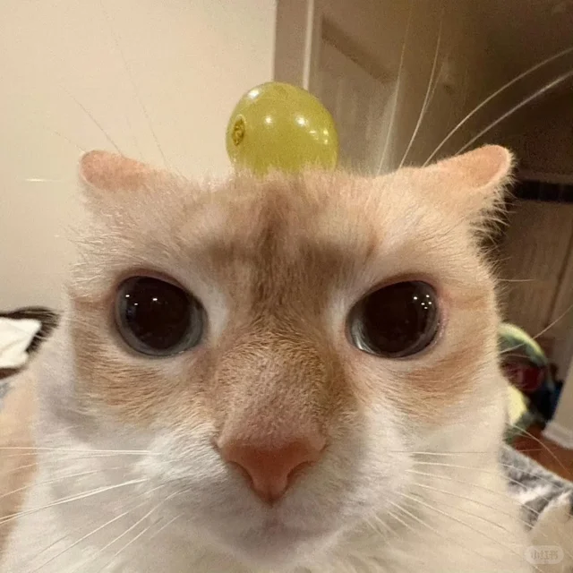 awei