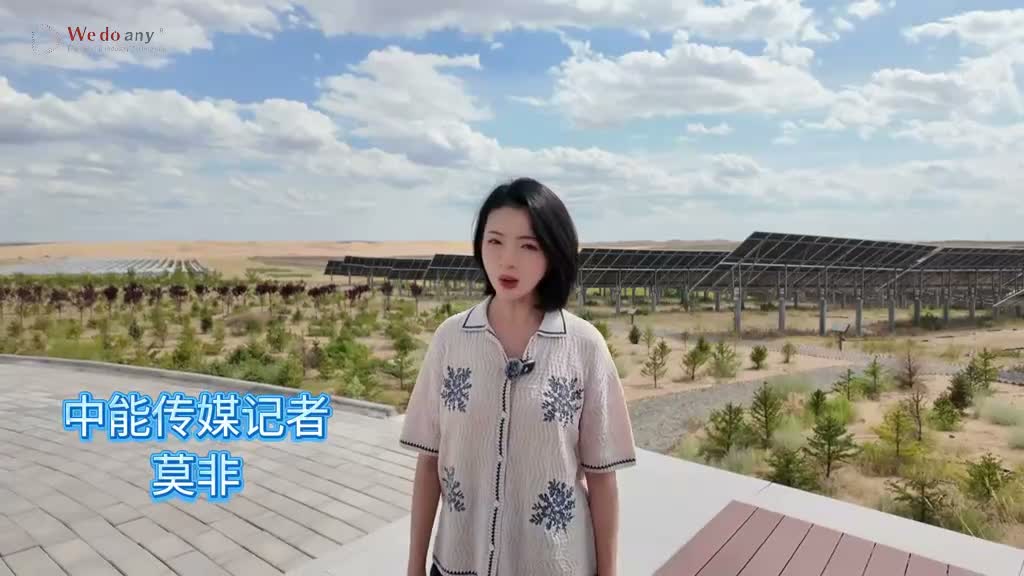 你见过被录入吉尼斯世界纪录的“画”吗？（来源：中国能源新闻）