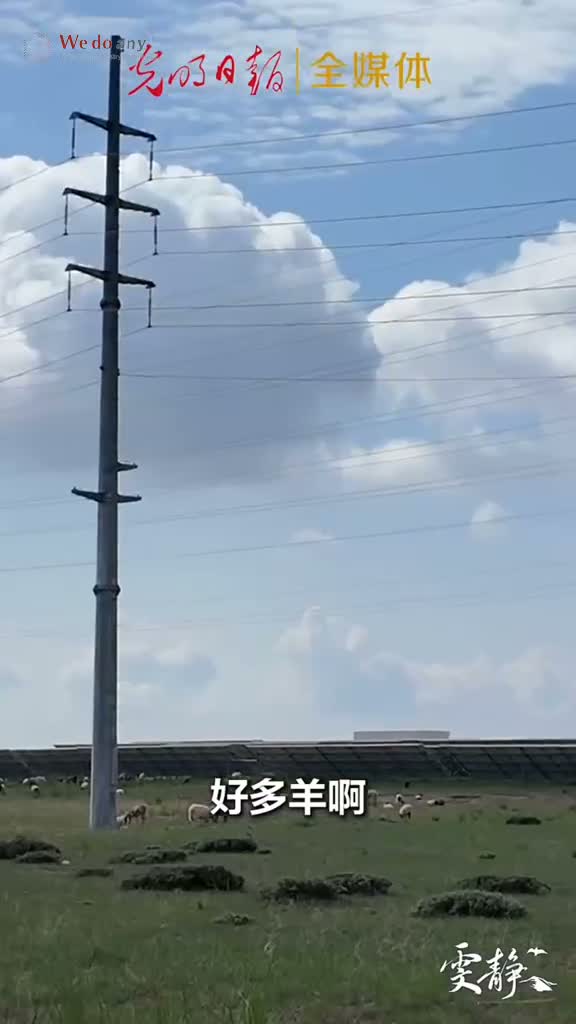 青海塔拉滩的光伏板下，如今跑着两万多只“光伏羊”。（来源：光明日报）